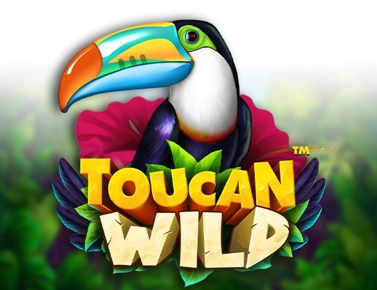 Toucan Wild