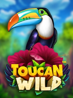 Toucan Wild