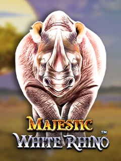 Majestic White Rhino