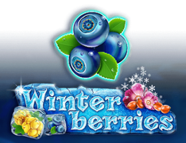 Winter Berries