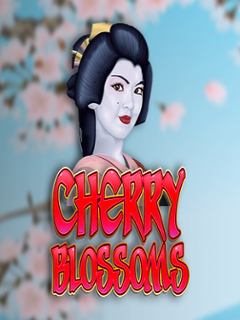Cherry Blossom