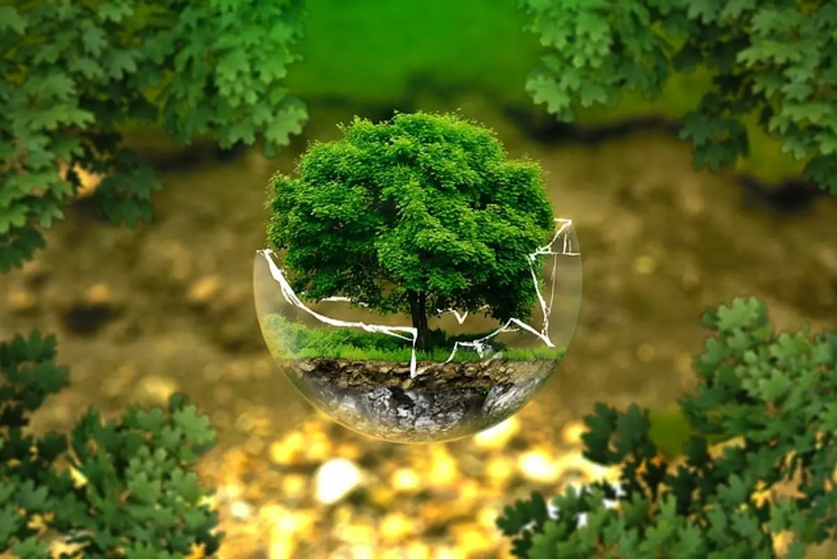 environmental-protection-a-tree-in-glass