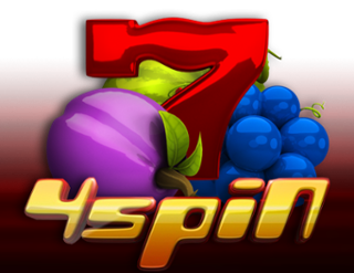 4 Spin