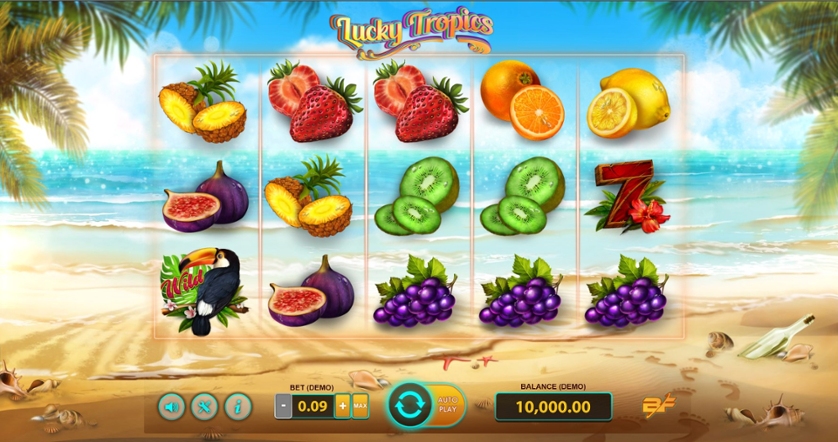 Lucky Tropics.jpg