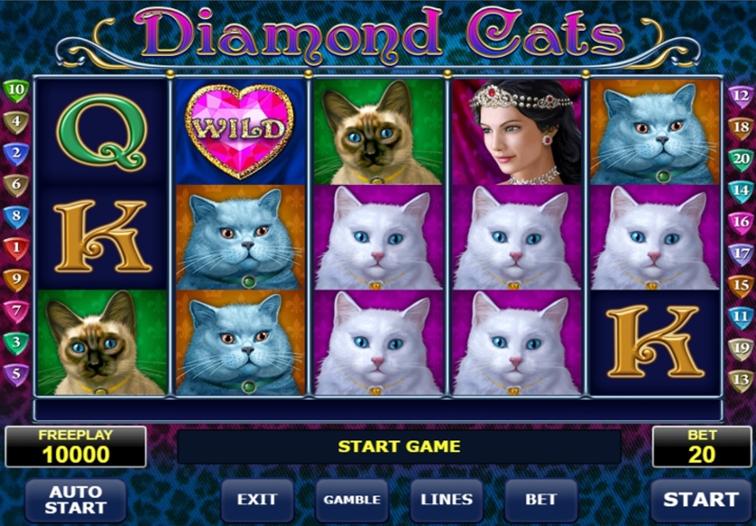 Diamond Cats.jpg