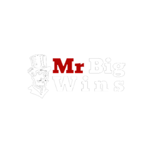 Mr Big Wins Casino Logo