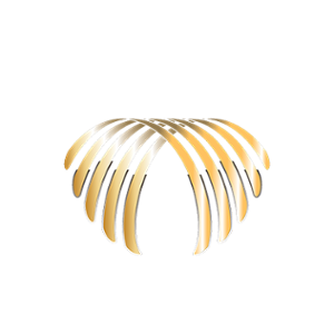 Casino Le Palme IT Logo