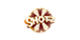Shotz Casino