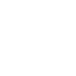 Playzee Casino Logo