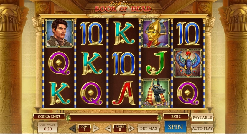 Book of Dead slot game