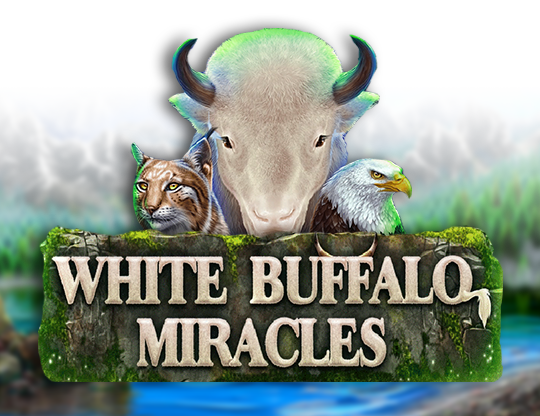 White Buffalo Miracles