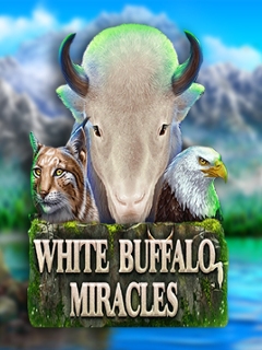 White Buffalo Miracles