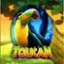 Toucan