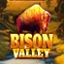Bison Valley