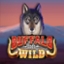 Buffalo Goes Wild