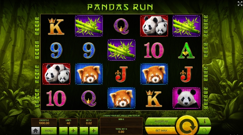 Panda's Run.jpg