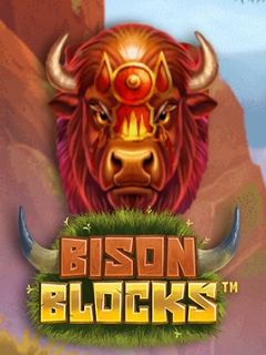 Bison Blocks
