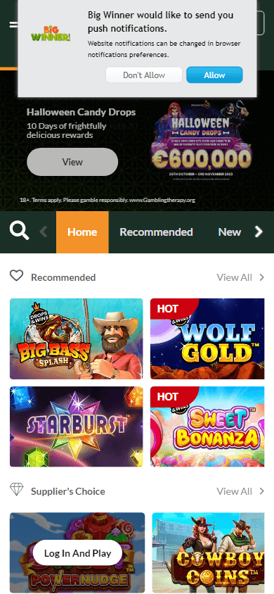 bigwinner_casino_homepage_mobile