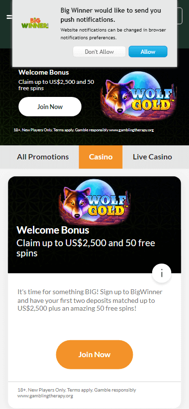 bigwinner_casino_promotions_mobile