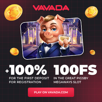 Vavada Casino Image