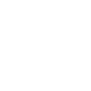 BIG Casino Logo