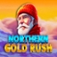 Northern Gold Rush