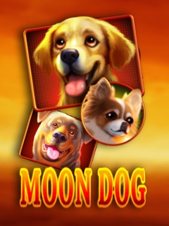 Moon Dog