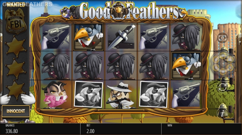 Good Feathers.jpg