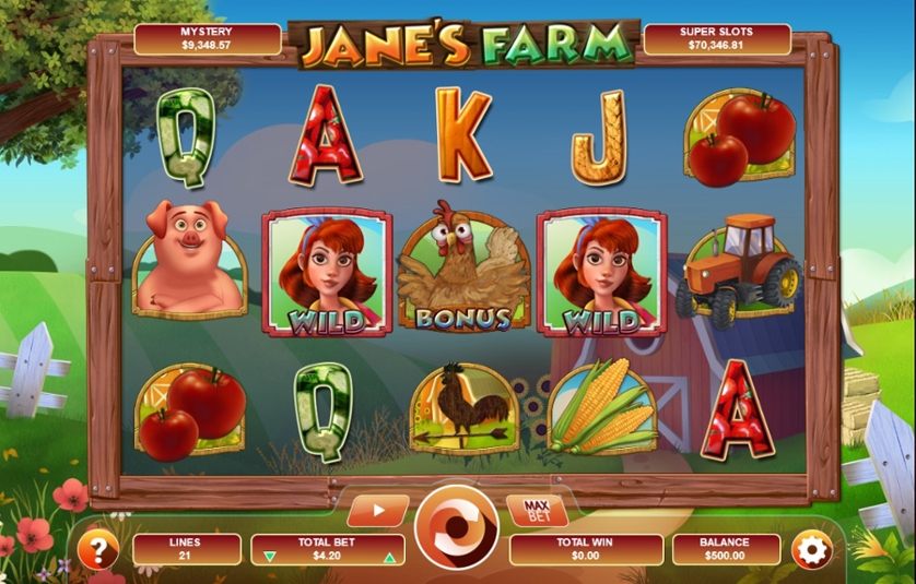 Jane’s Farm.jpg