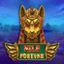 Nile Fortune