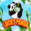 Lucky Panda