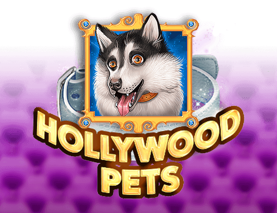 Hollywood Pets
