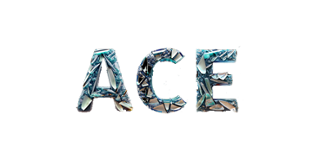 Ace of Casino Logo