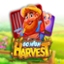 Go High Harvest