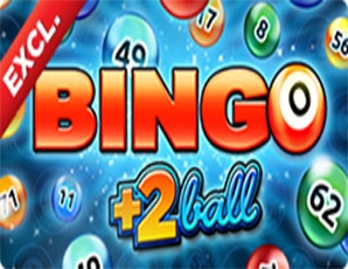 Bingo 2Ball