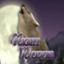 Night Wolves