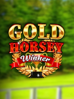 Gold Horsey Winner