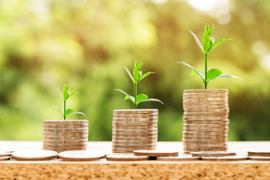 coins-showing-growth-as-plants