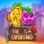 The Cipollino