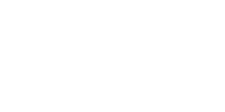 Wish Bingo Casino Logo