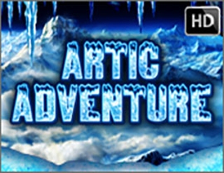 Artic Adventure