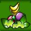 All Fruits