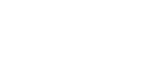 Winsane Casino logo