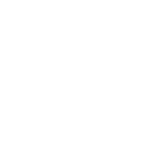 Winsane Casino Logo