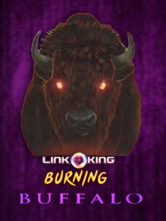 Link King Burning Buffalo