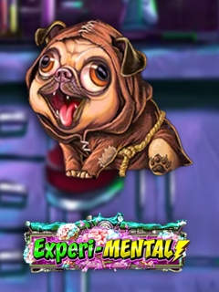 Experi-mental