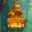 Beary Wild