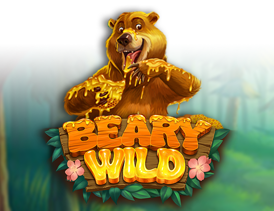 Beary Wild
