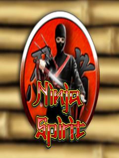 Ninja Spirit