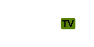 CasinoTV Logo